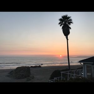 Meet your Posher, Elisa